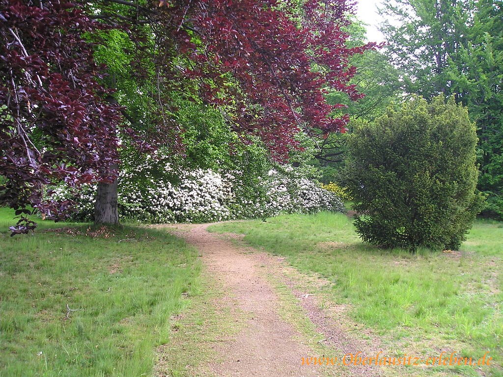 Park Gauig